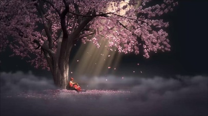 樱花树下