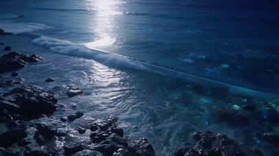 夜晚的海边