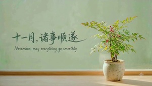 超治愈南天竹小盆栽