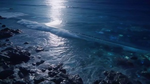 夜晚的海边