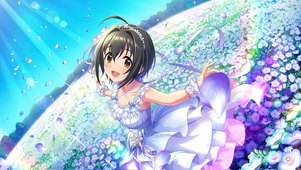 Miho Kohinata