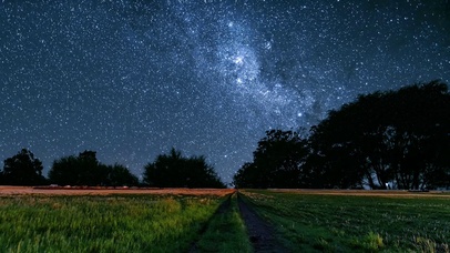 星空下的麦田