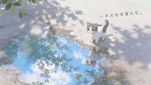猫遇镜中云