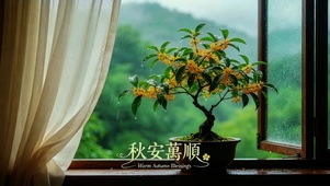 秋安万顺