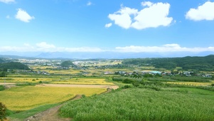 郊外乡村田园